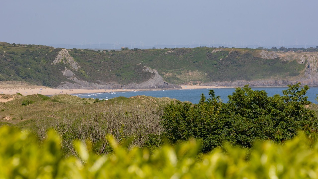 Photo of Others in Oxwich