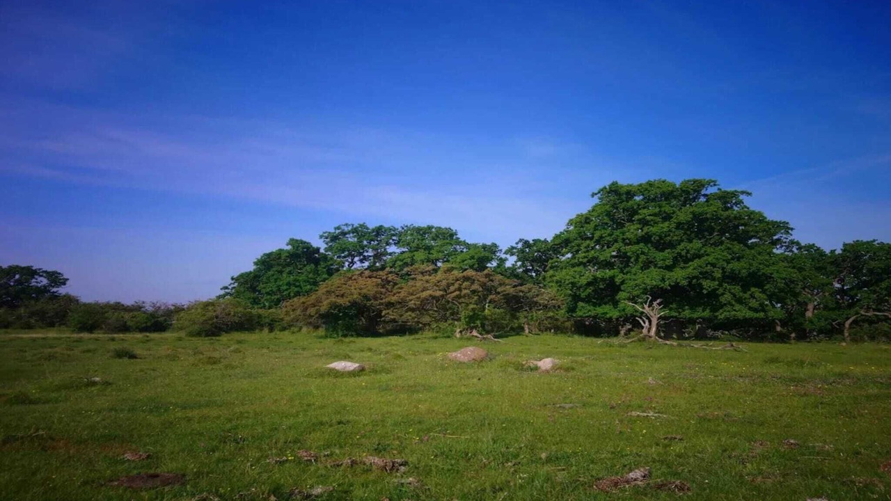 Photo of Others in Kettinge