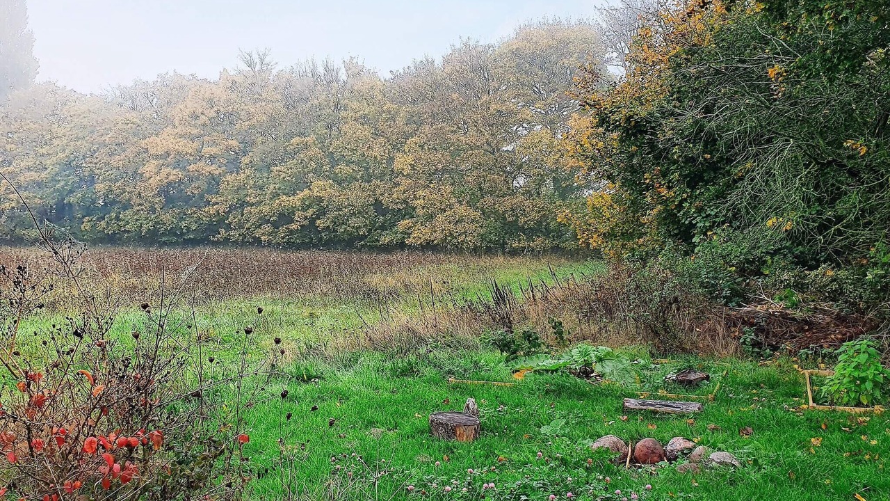 Photo of Others in Kettinge