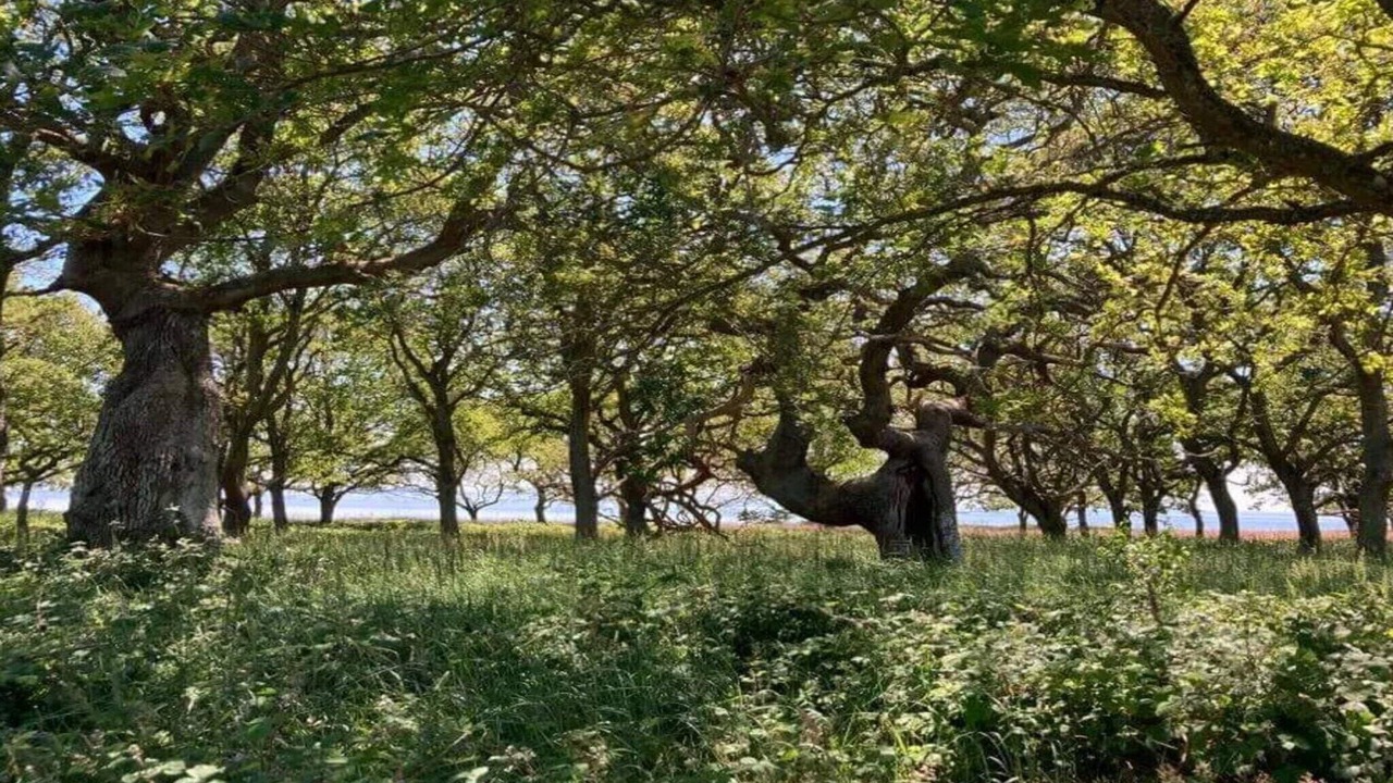 Photo of Others in Kettinge