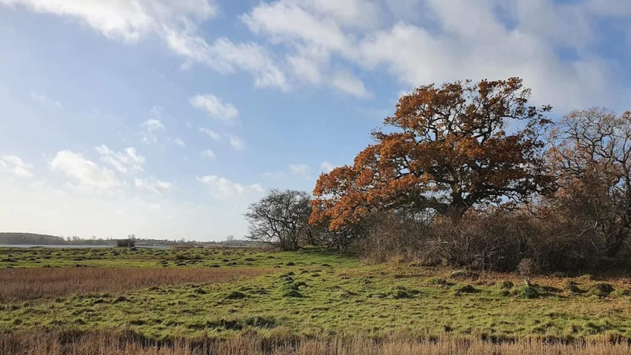 Photo of Others in Kettinge