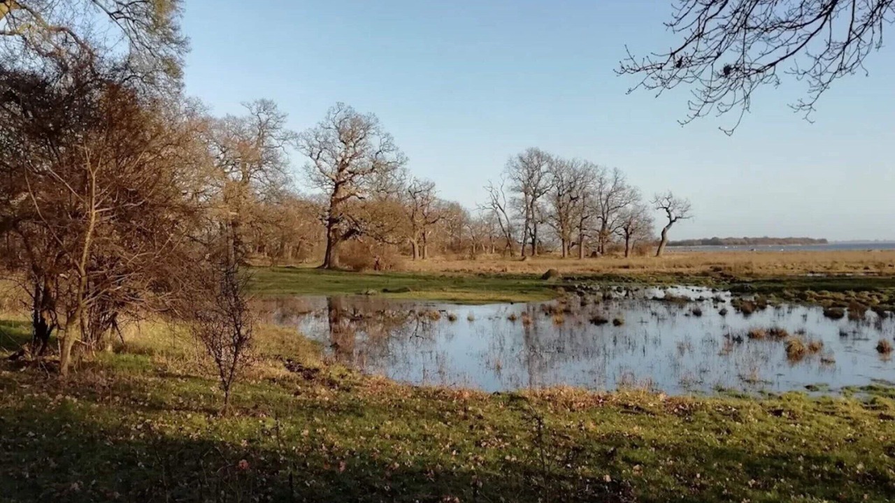 Photo of Others in Kettinge