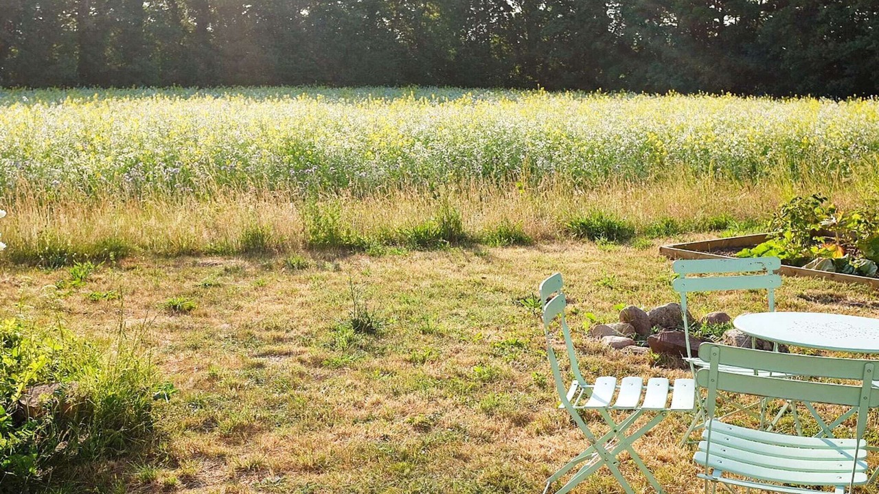 Photo of Outdoor in Kettinge