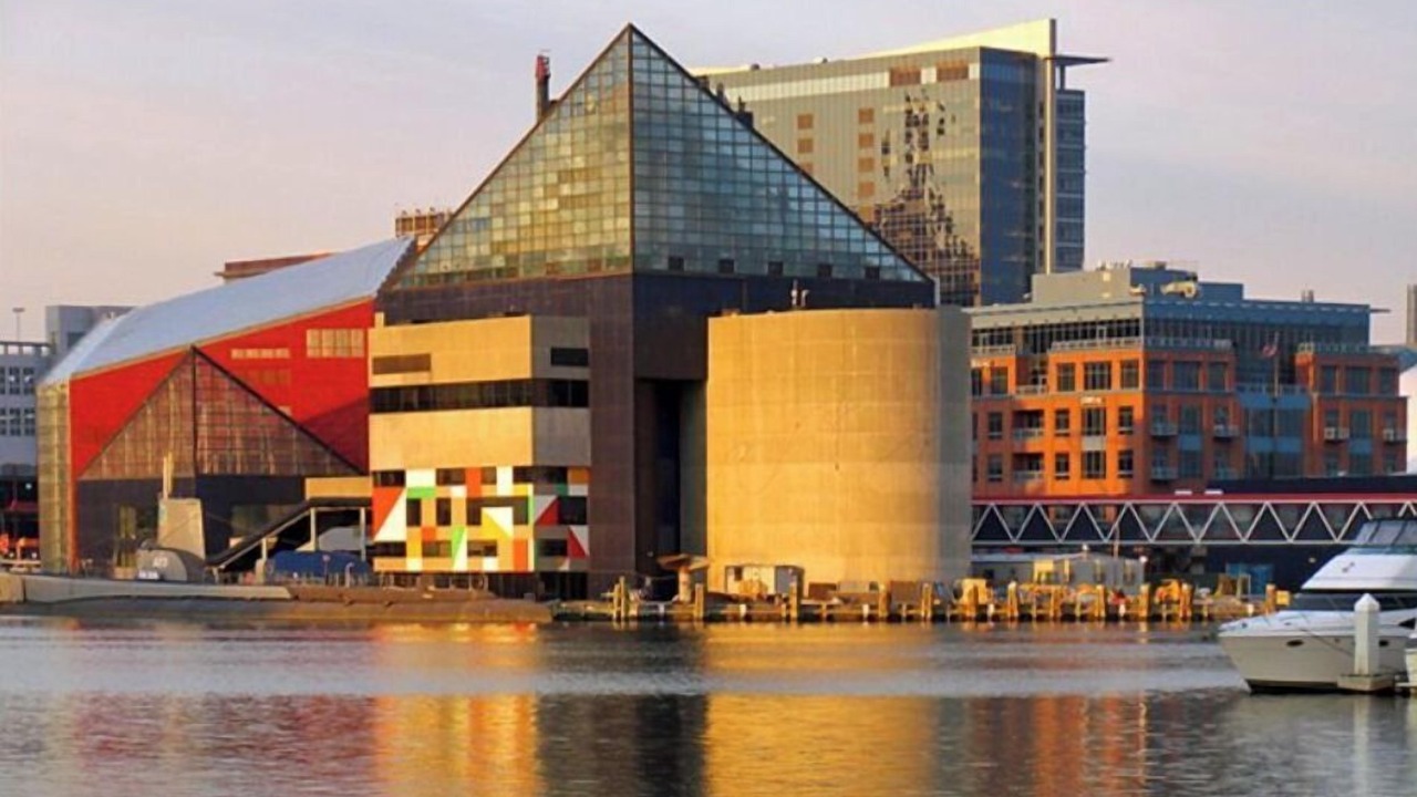 Photo of Outdoor in Downtown Baltimore