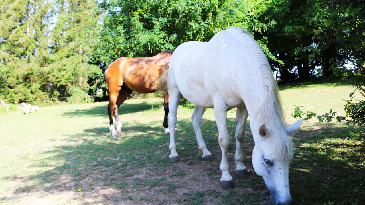 Photo of Outdoor in Thurey-le-Mont