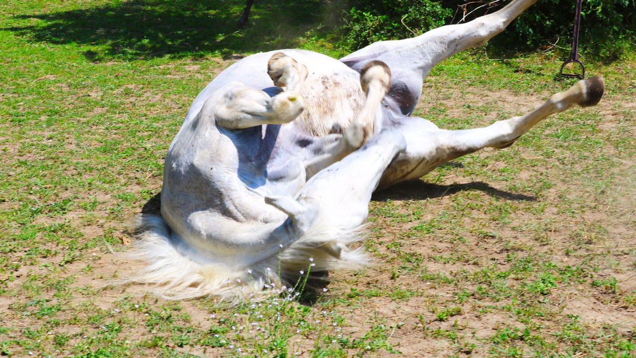 Photo of Others in Thurey-le-Mont