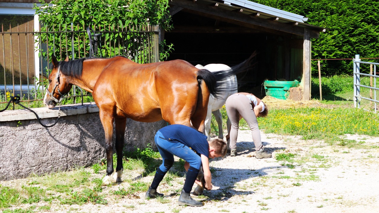 Photo of Outdoor in Thurey-le-Mont