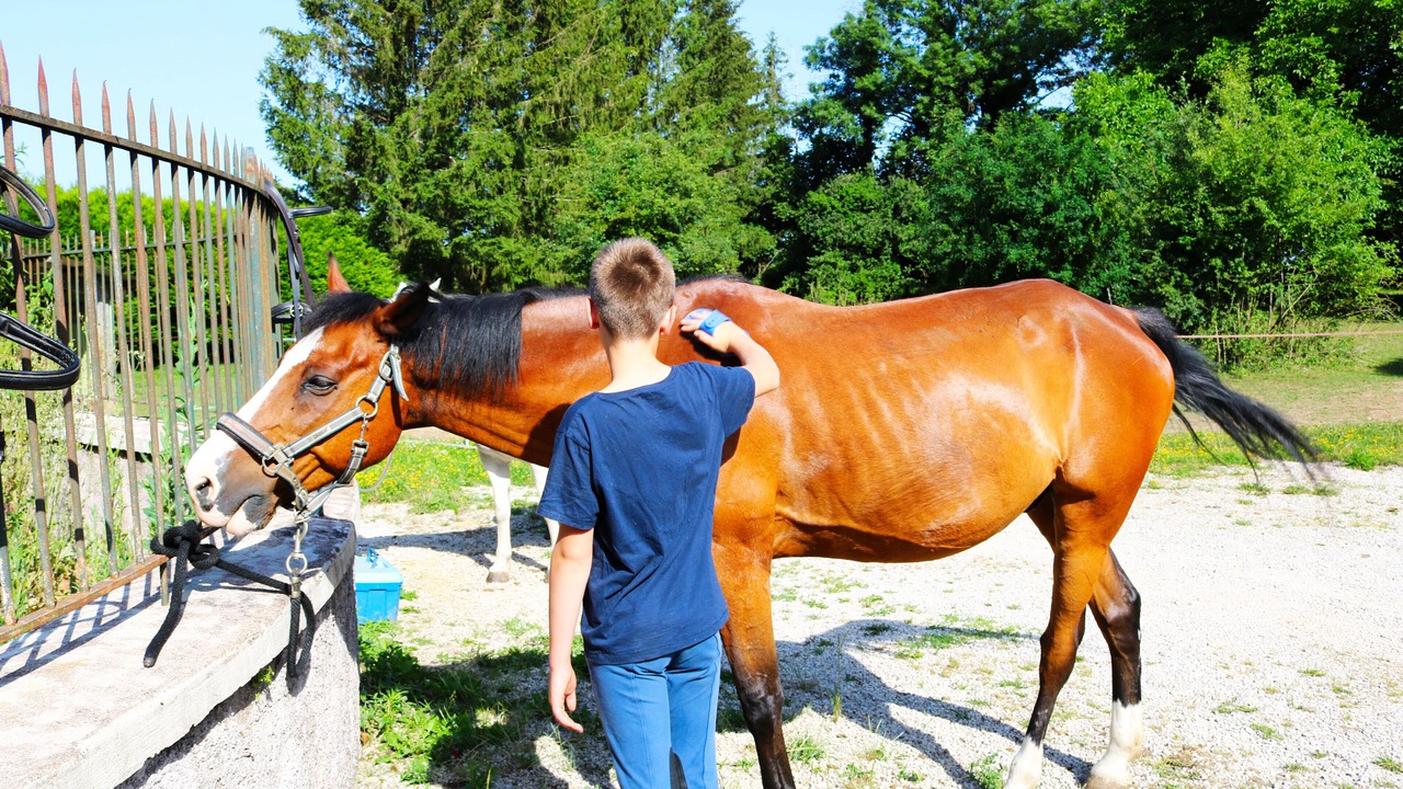 Photo of Outdoor in Thurey-le-Mont
