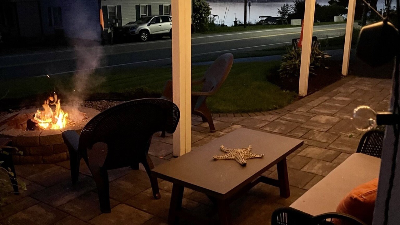 Photo of Patio Balcony in Livonia