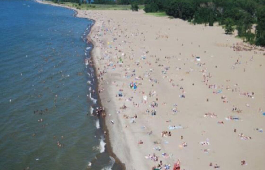 Photo of Others in Mentor