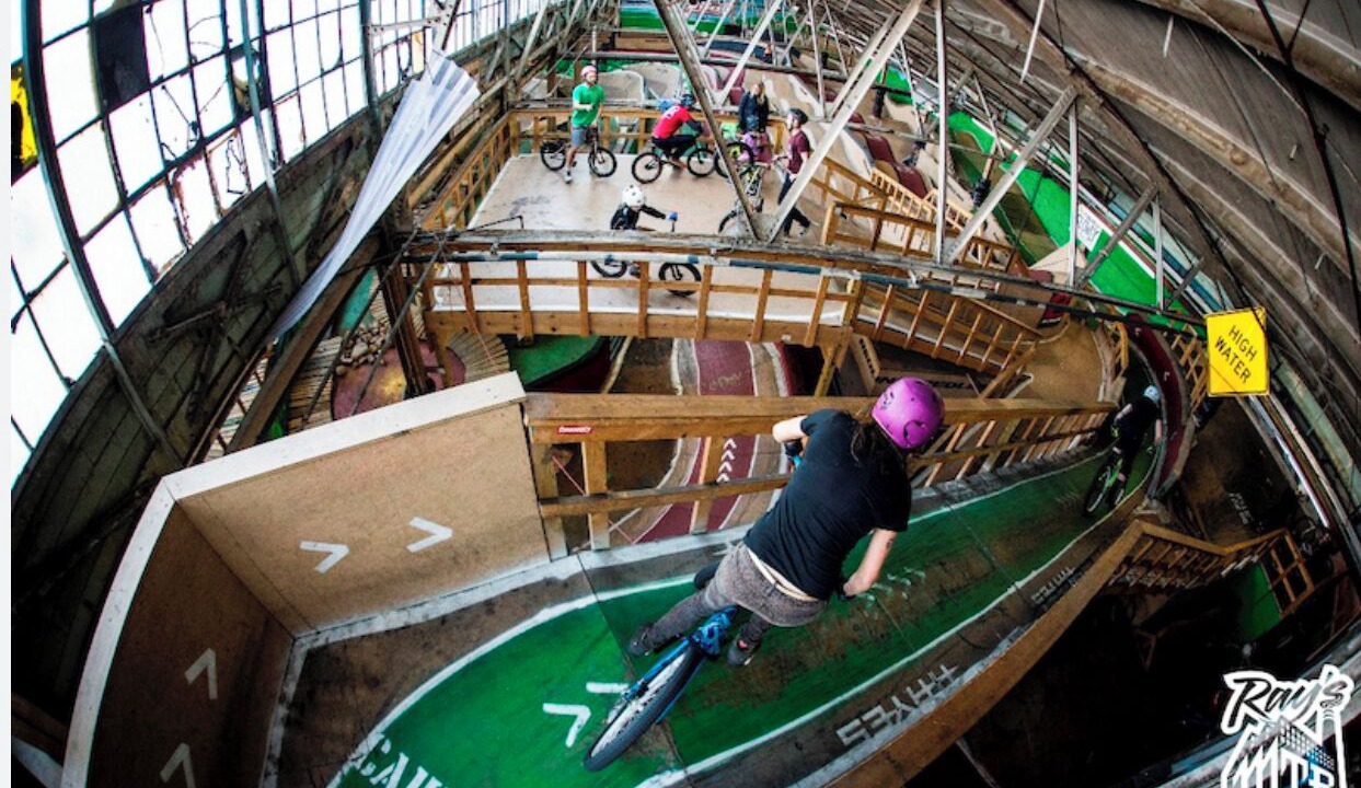 Photo of Others in Mentor