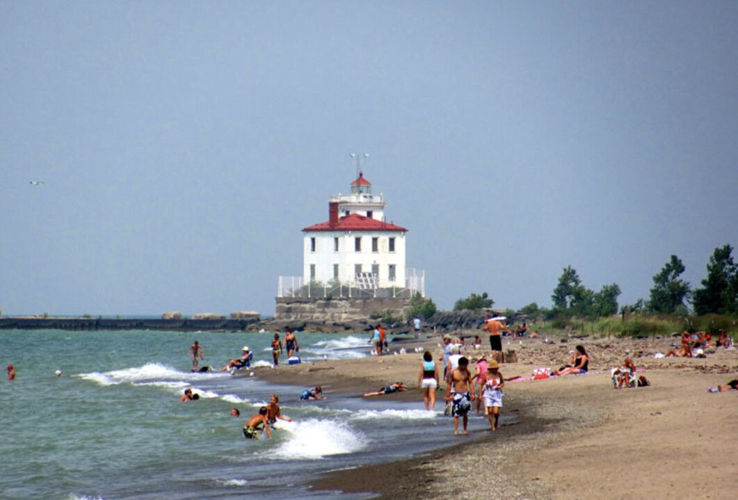 Photo of Others in Mentor