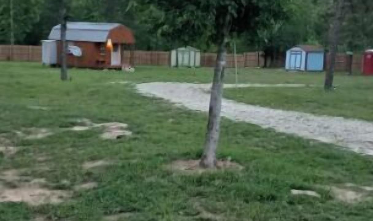 Photo of Others in Smith County
