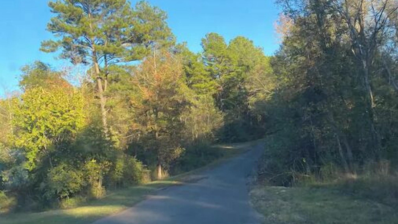 Photo of Outdoor in Smith County