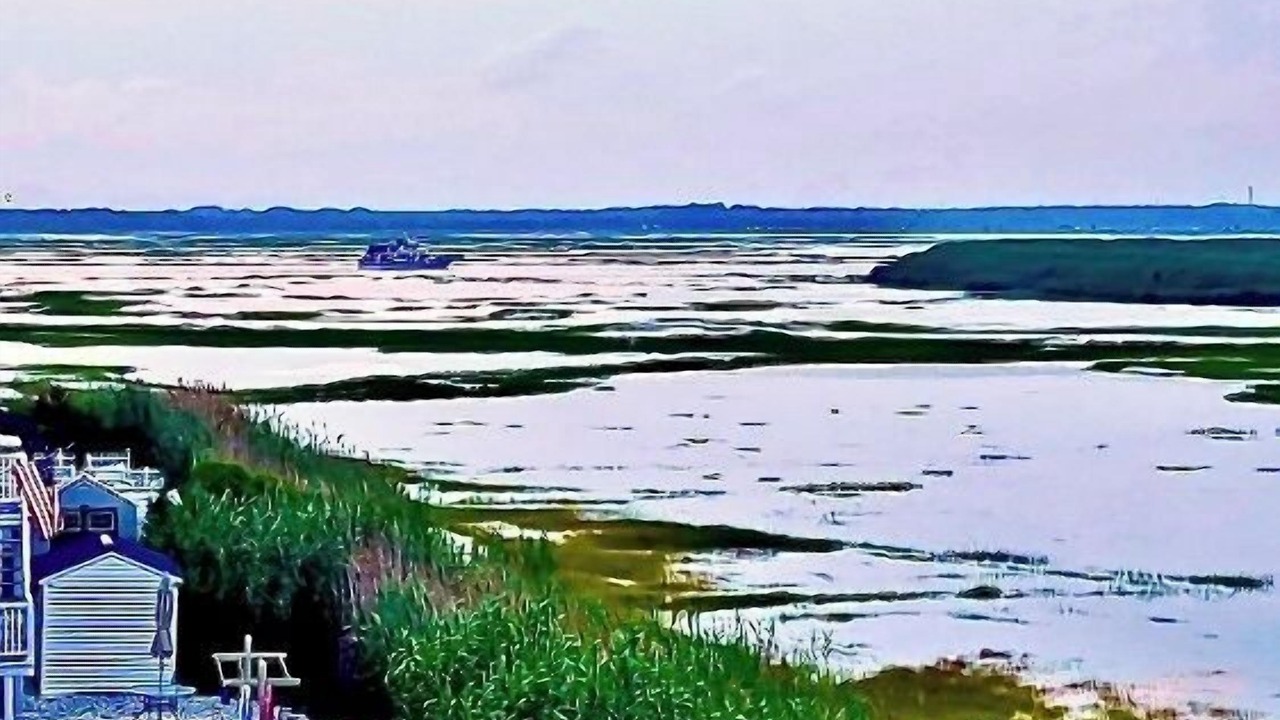 Photo of Others in Sea Isle City