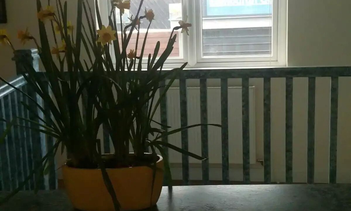 Photo of Others in Bruntsfield