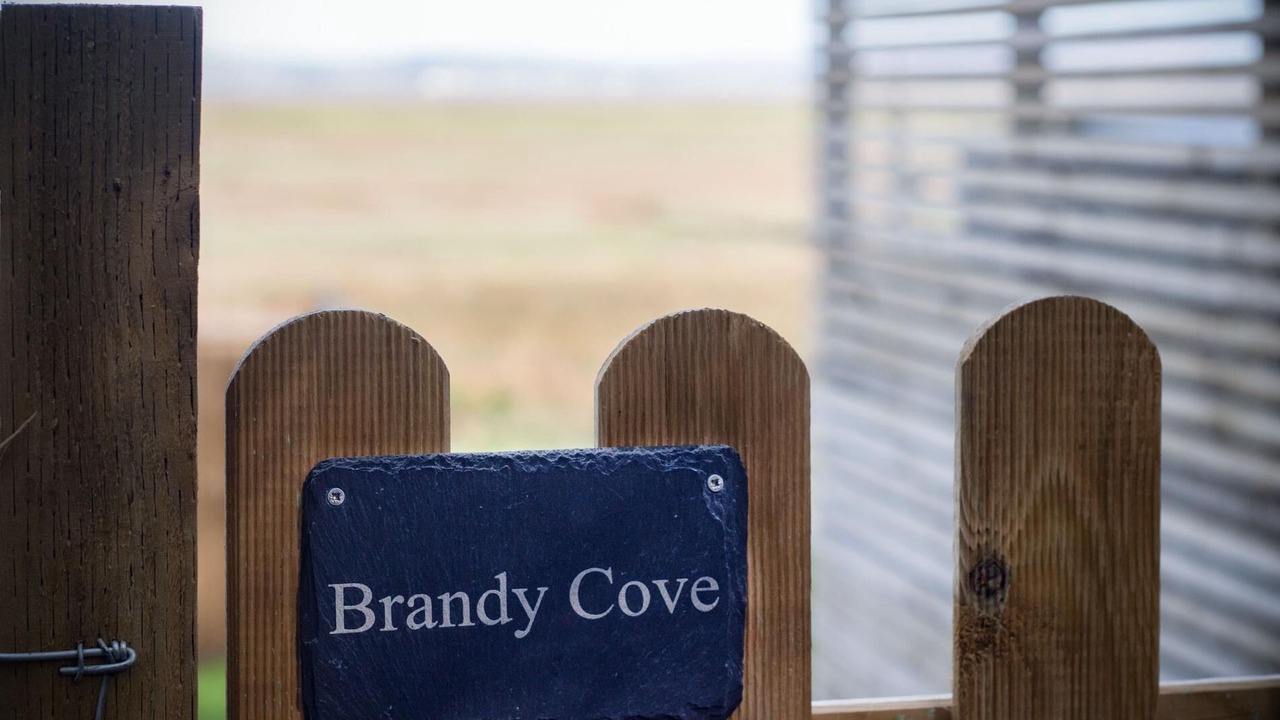 Photo of Others in Llangennith