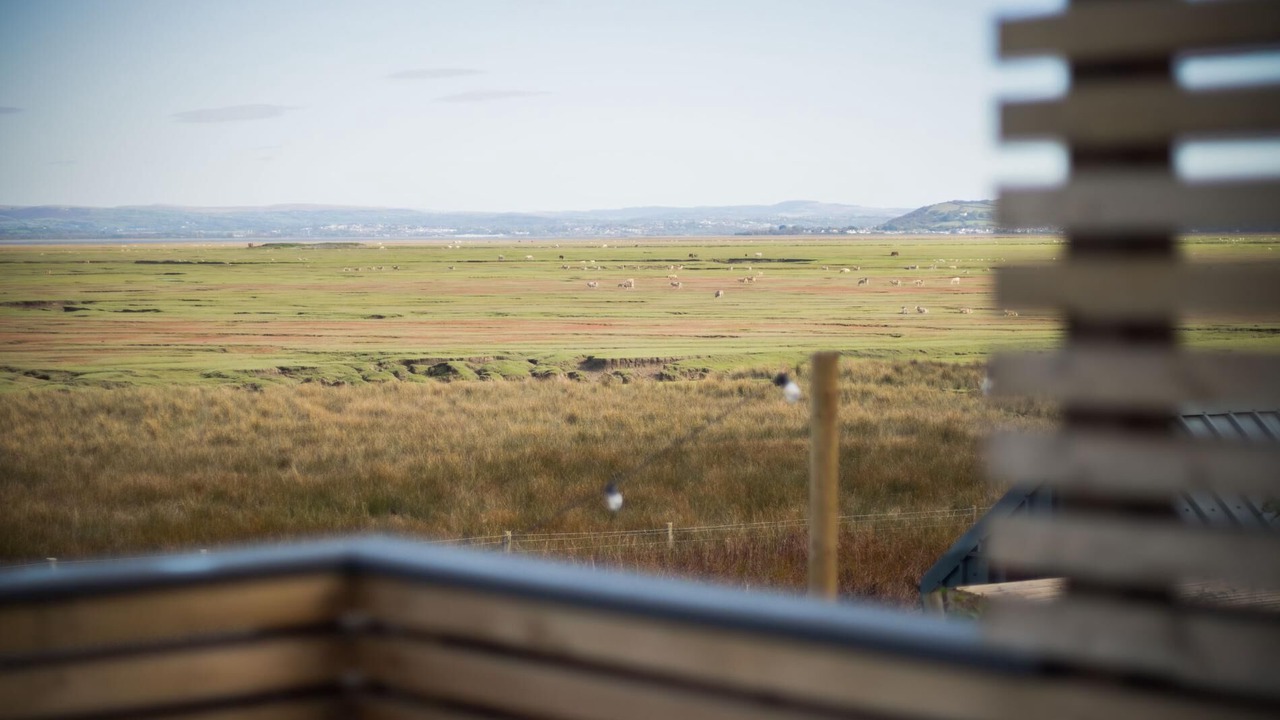 Photo of Others in Llangennith