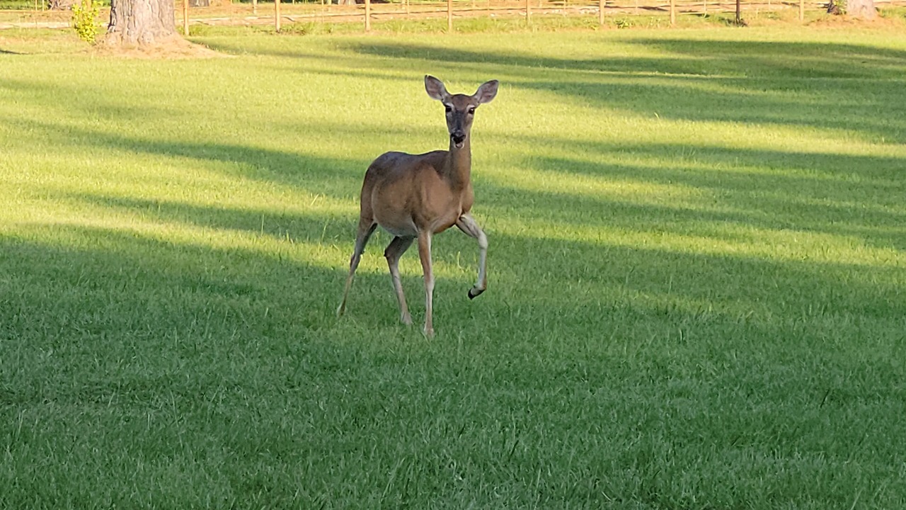 Photo of Others in Pennington