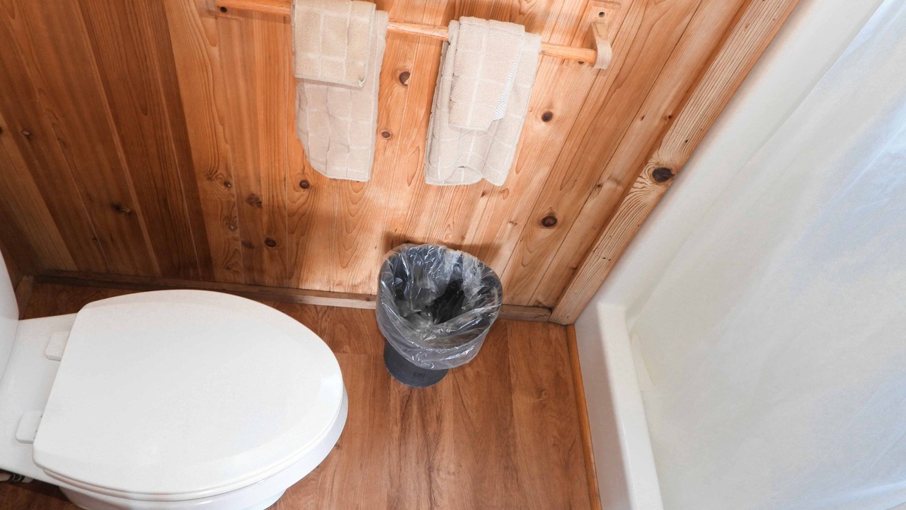 Photo of Bathroom in Leasburg