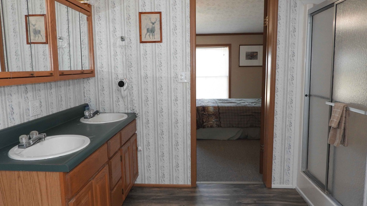 Photo of Bathroom in Leasburg