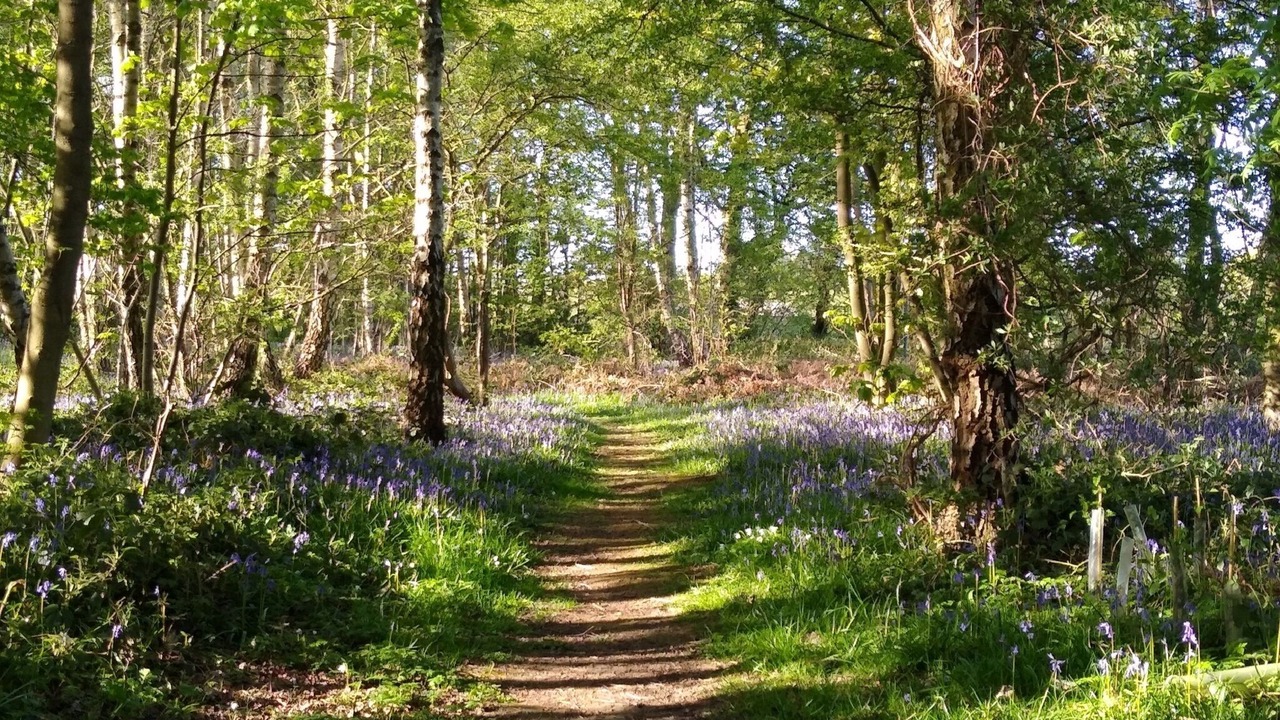 Photo of Others in Ryther