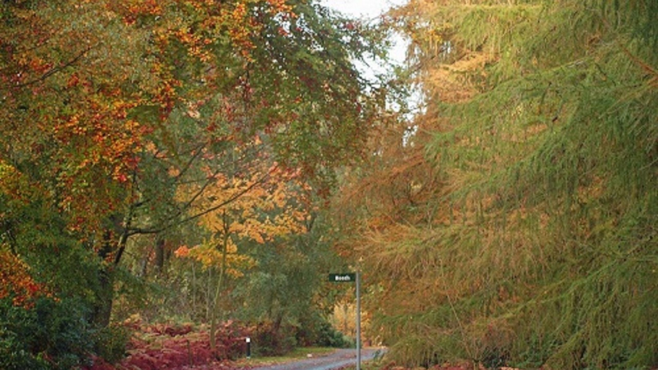 Photo of Others in Ryther