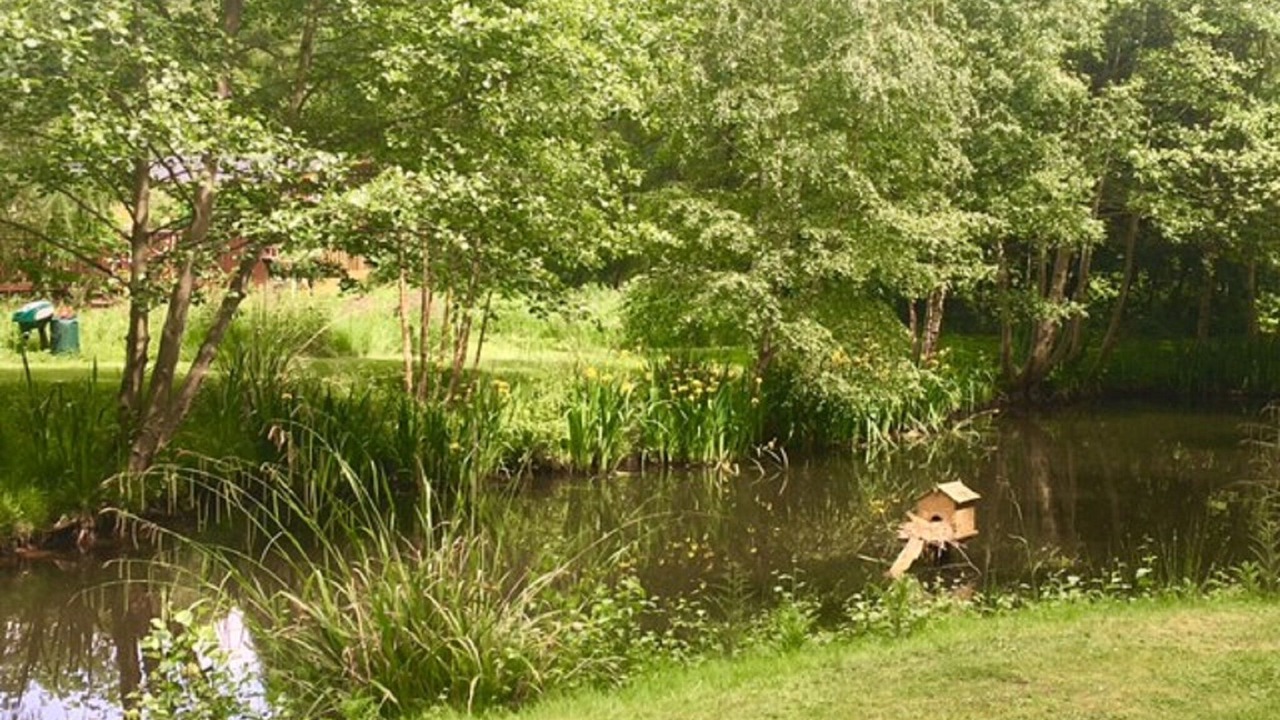 Photo of Others in Ryther