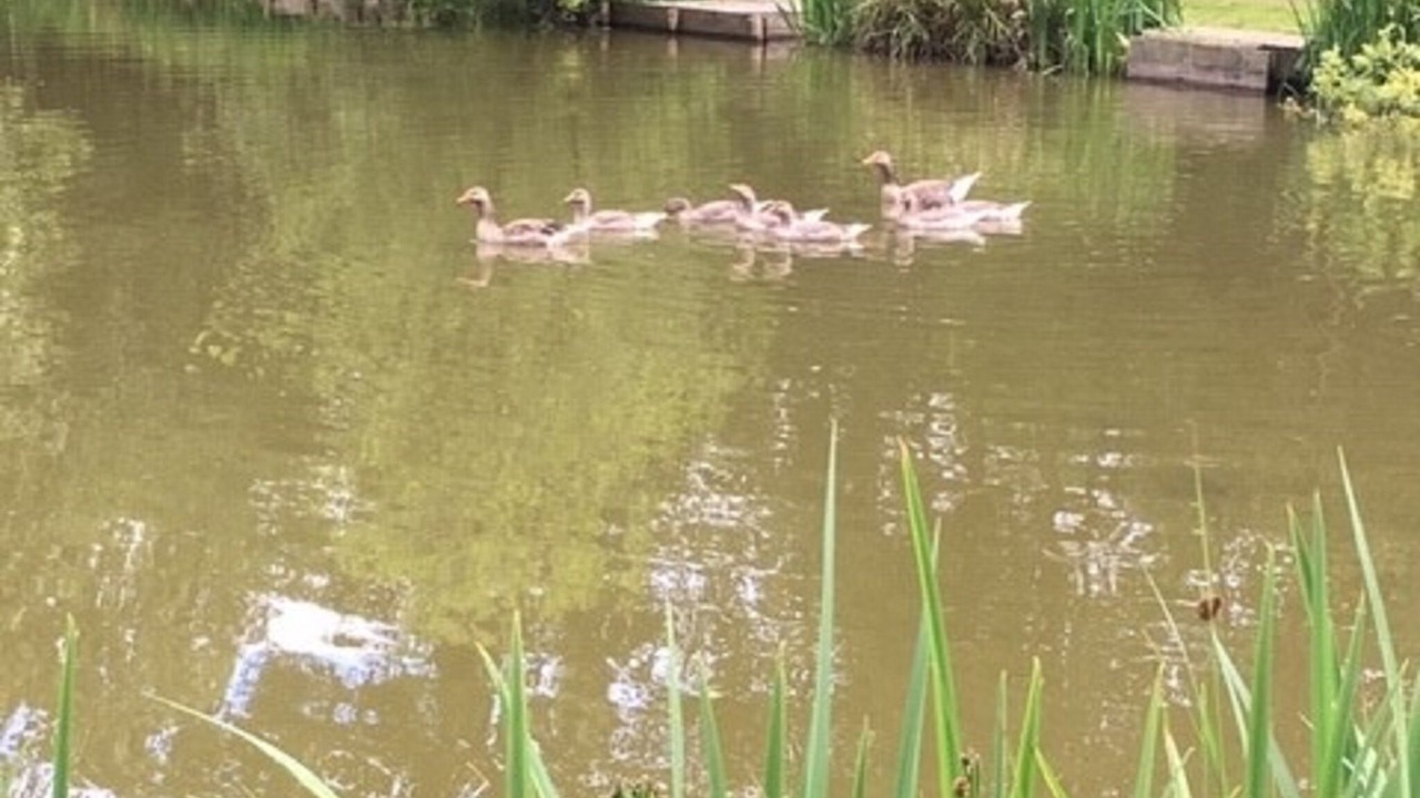 Photo of Others in Ryther