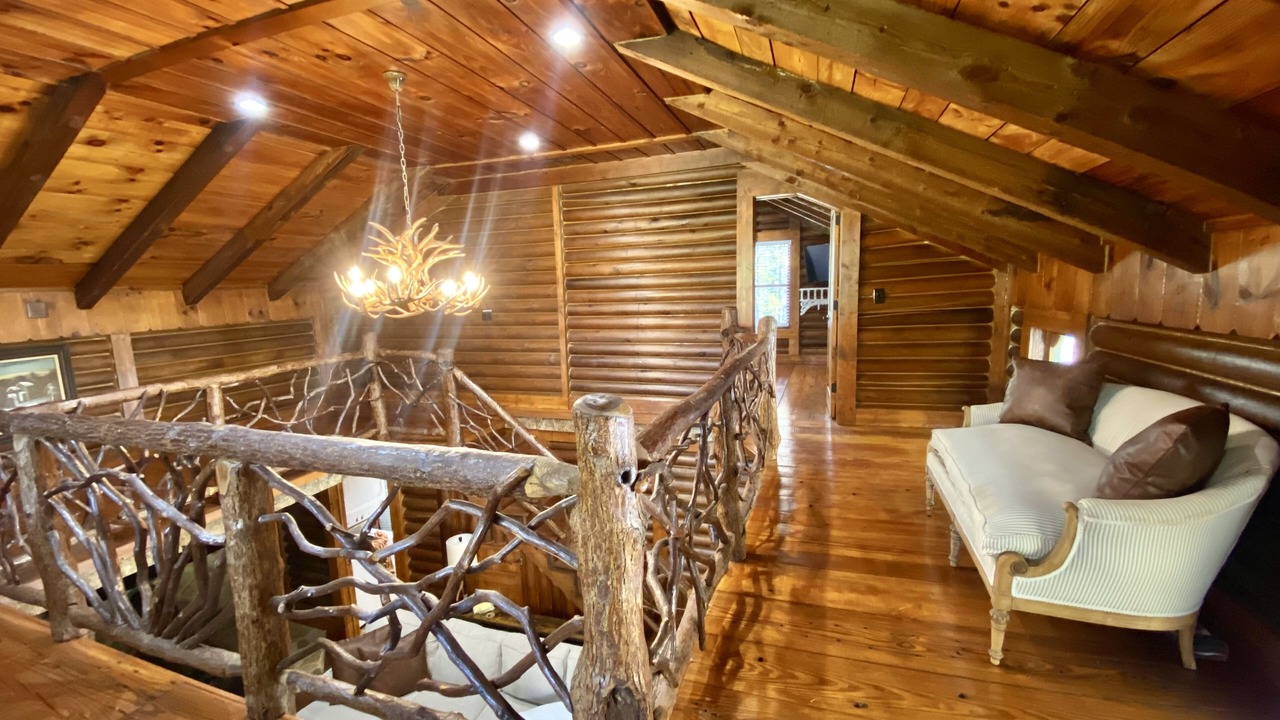 Photo of Others in Tiger