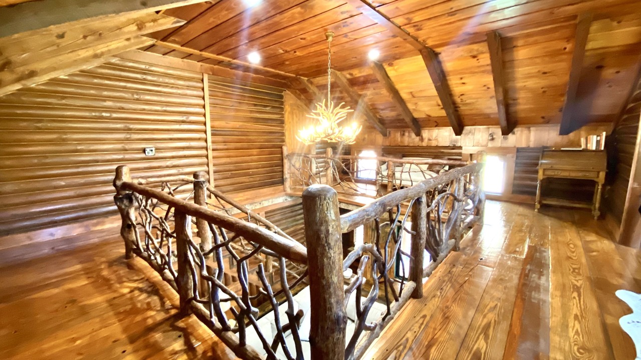 Photo of Others in Tiger