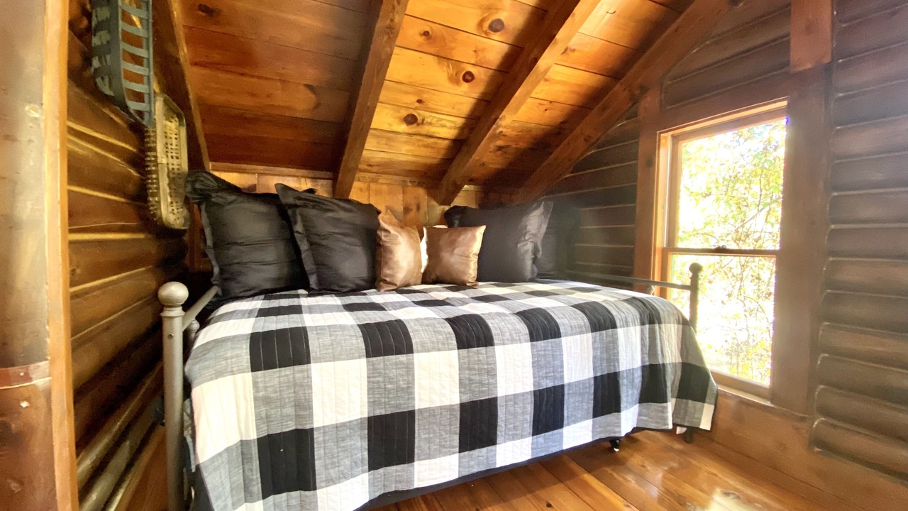 Photo of Others in Tiger