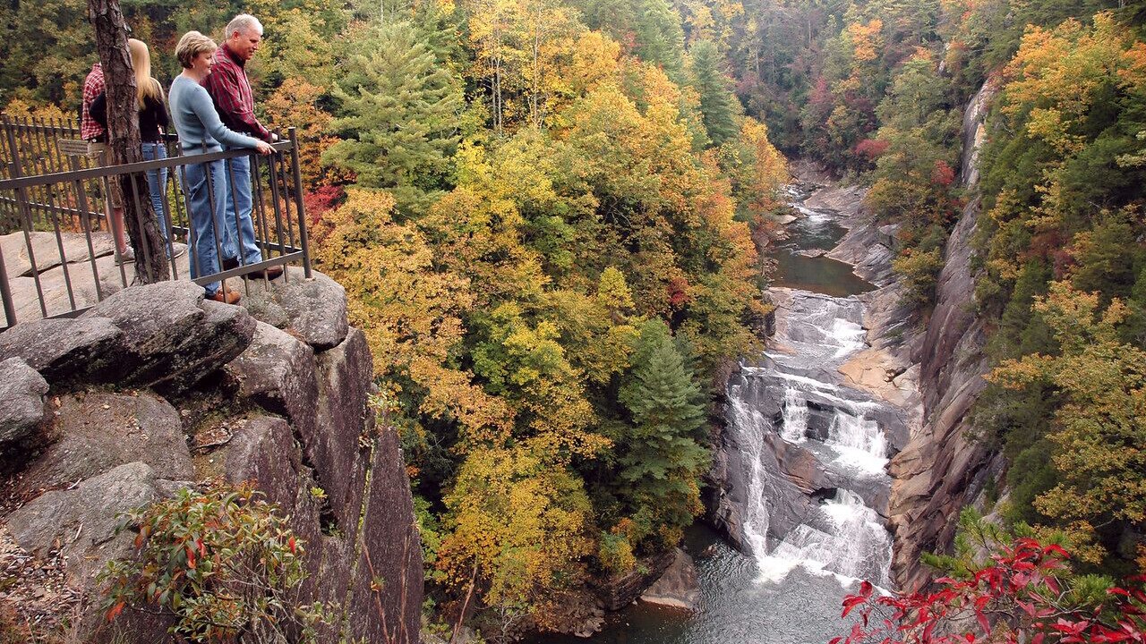 Photo of Others in Tiger