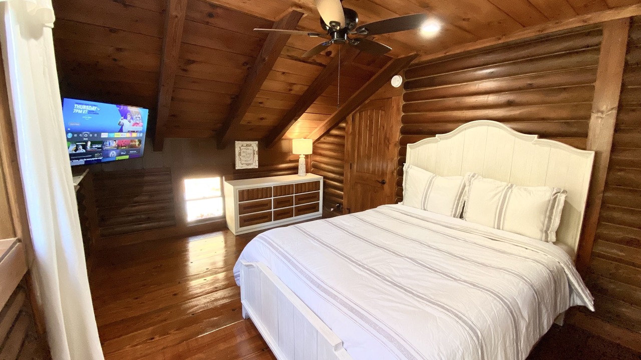 Photo of Others in Tiger