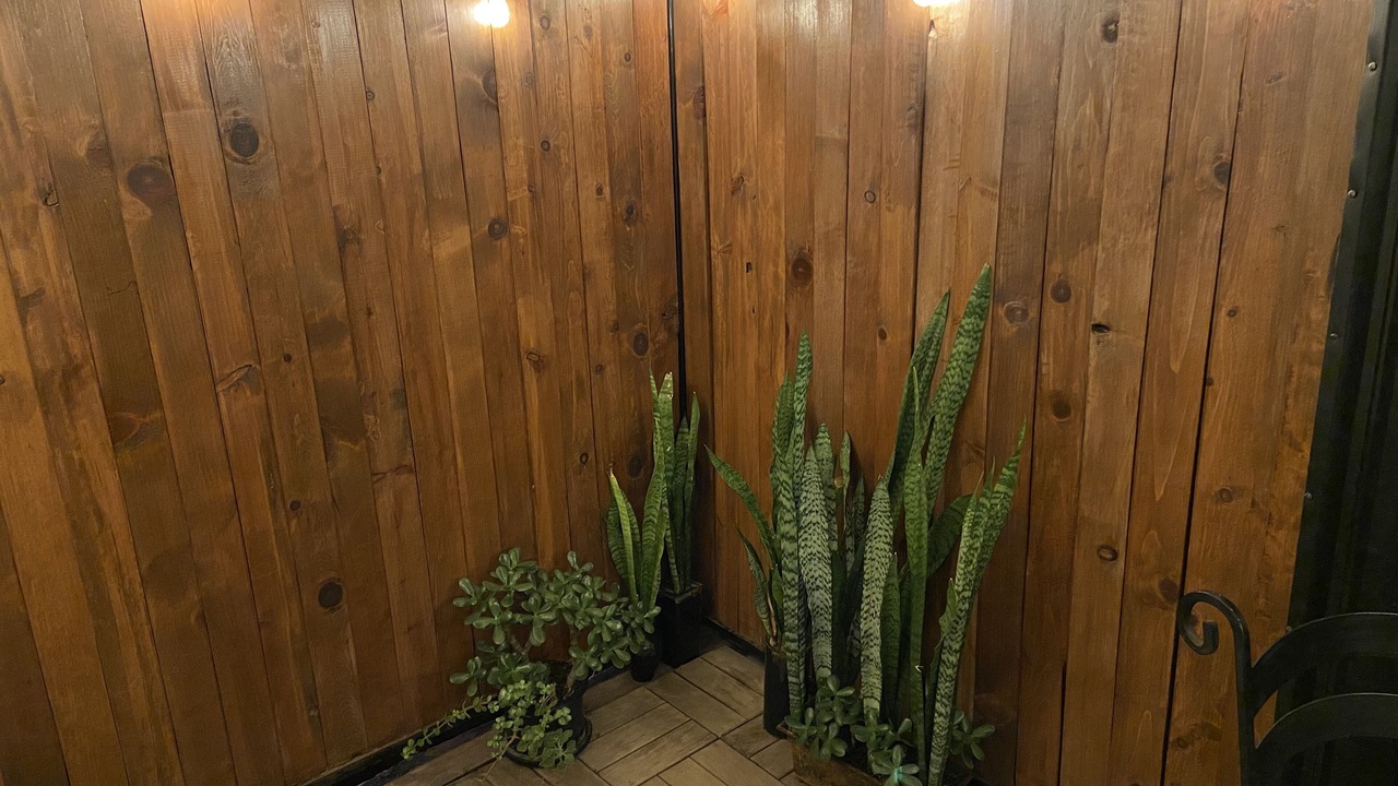 Photo of Others in Costa de Oro