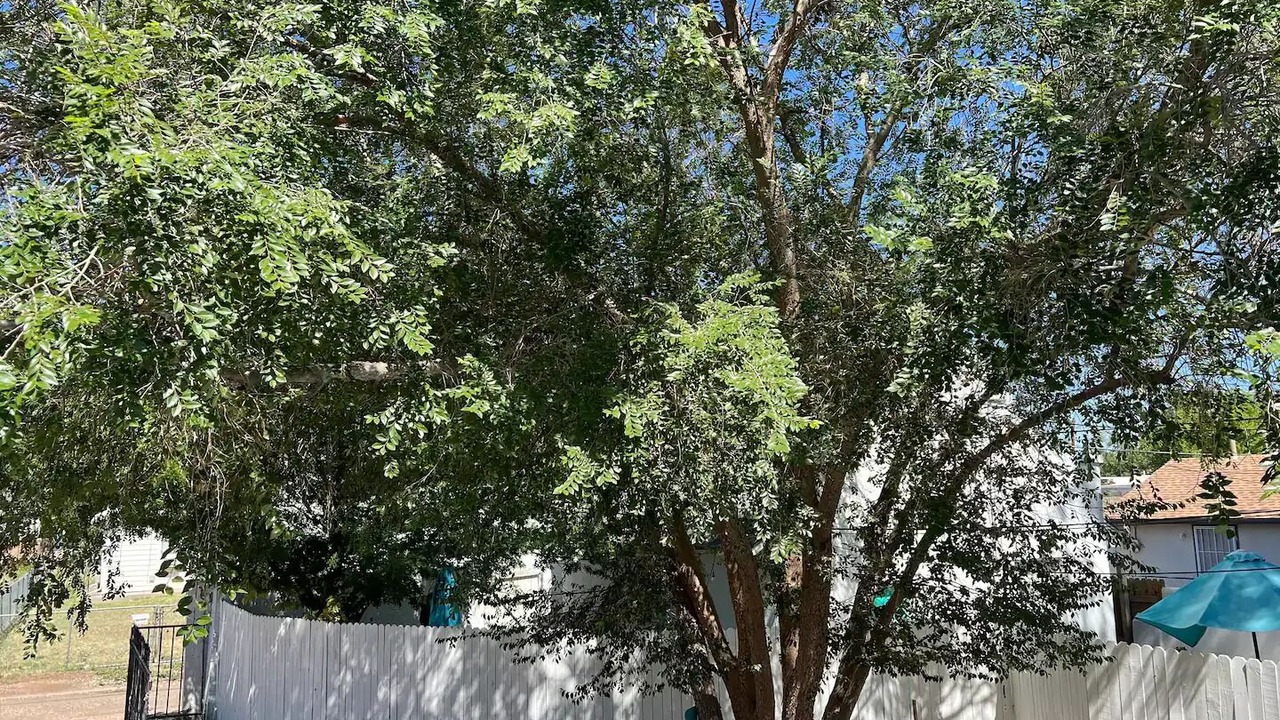 Photo of Outdoor in Roswell