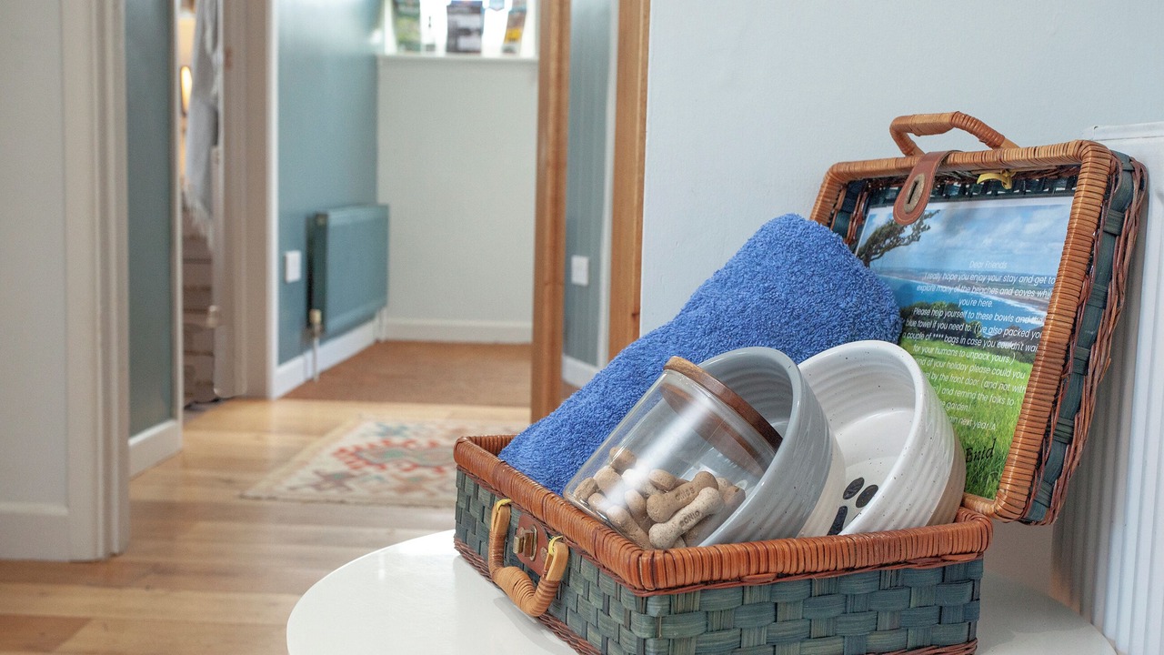 Photo of Others in Widemouth Bay