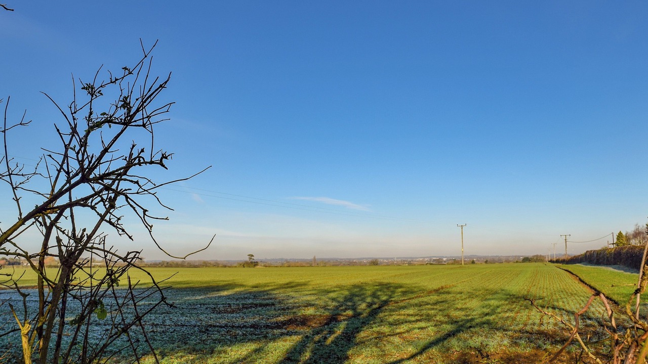 Photo of Others in Bampton