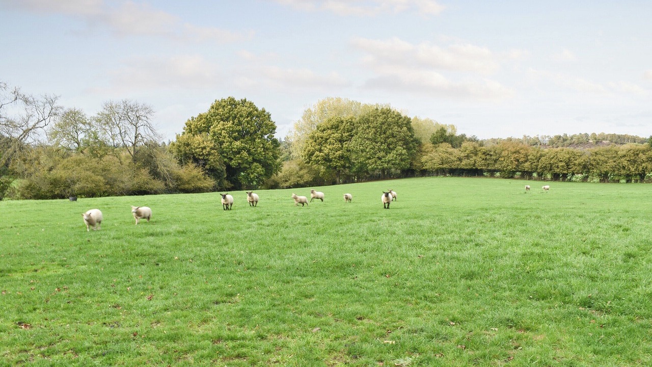 Photo of Outdoor in Churt