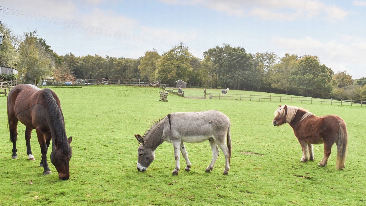 Photo of Outdoor in Churt