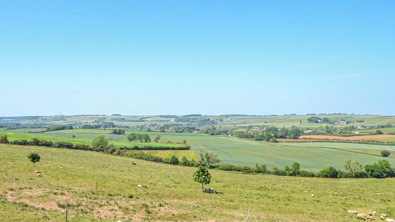 Photo of Others in Horncastle