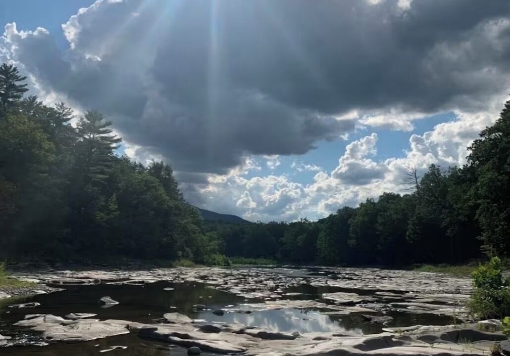 Photo of Others in Freehold