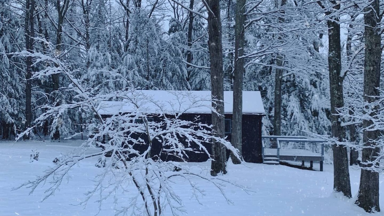 Photo of Others in Freehold