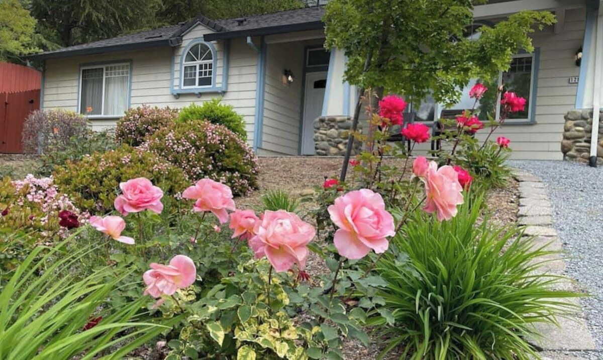 Photo of Outdoor in North Auburn