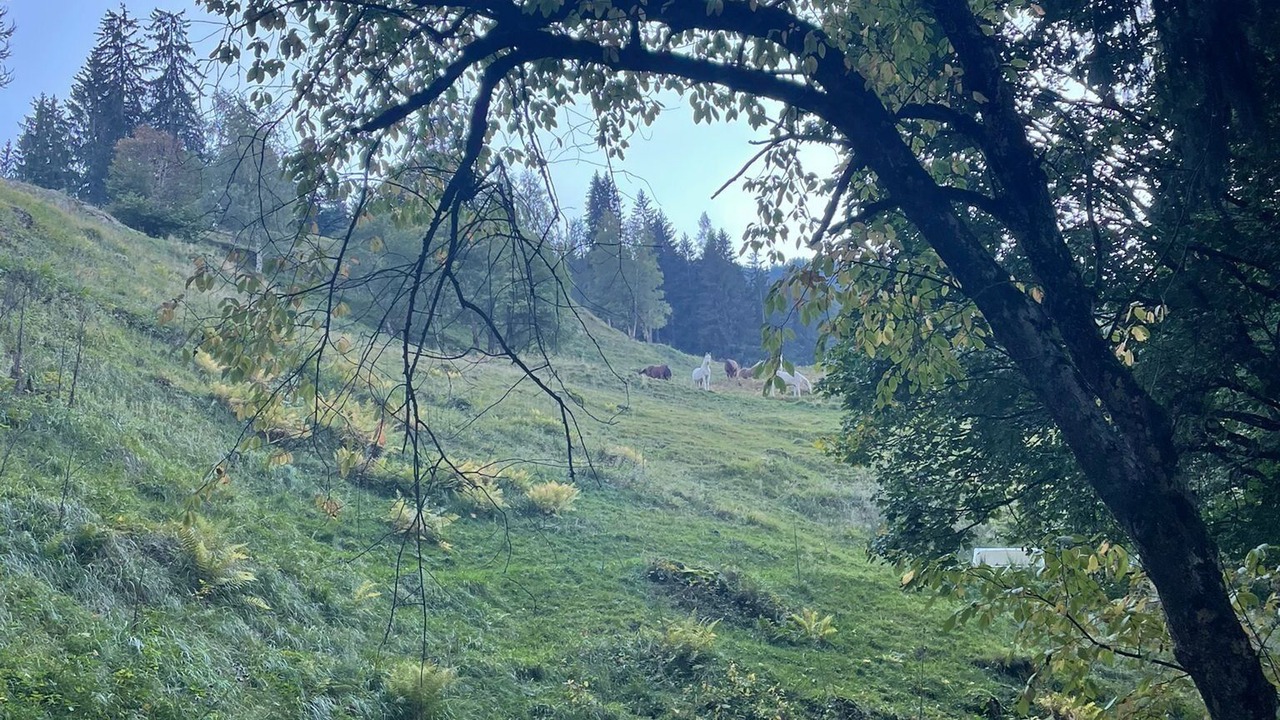 Photo of Outdoor in Klosters-Serneus