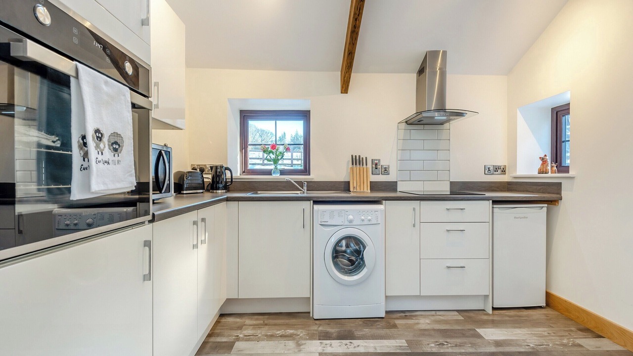 Photo of Others in Lampeter