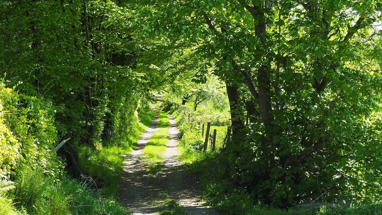 Photo of Others in Lampeter