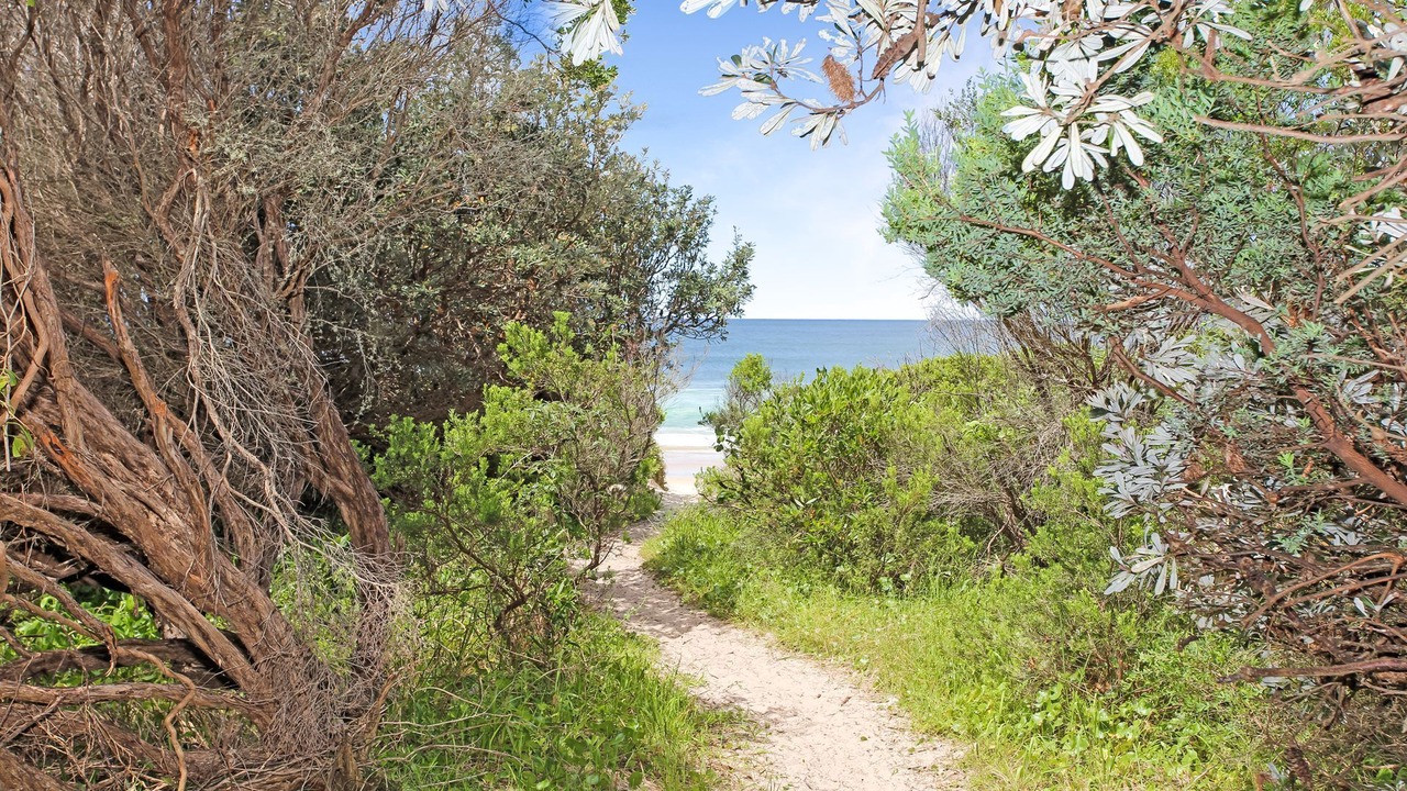 Photo of Others in Hawks Nest