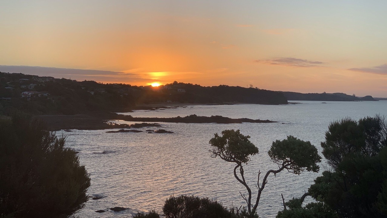 Photo of Others in Cable Bay