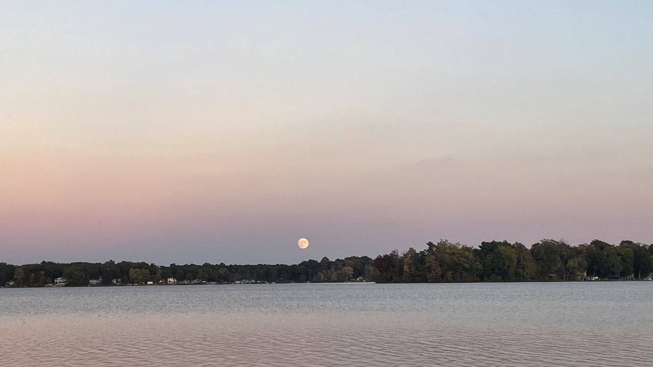 Photo of Others in Delton